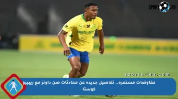 مفاوضات مستمرة.. تفاصيل جديدة عن محادثات صن داونز مع ريبيرو كوستا